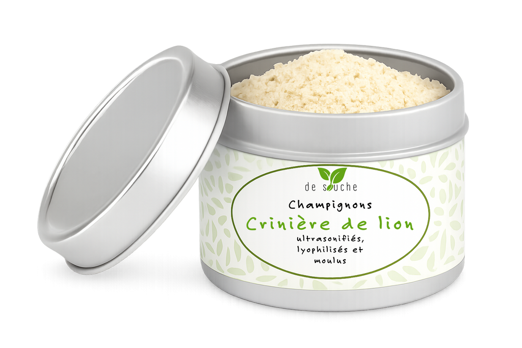 Champignons Crinière de Lion ultrasonifiés et moulus